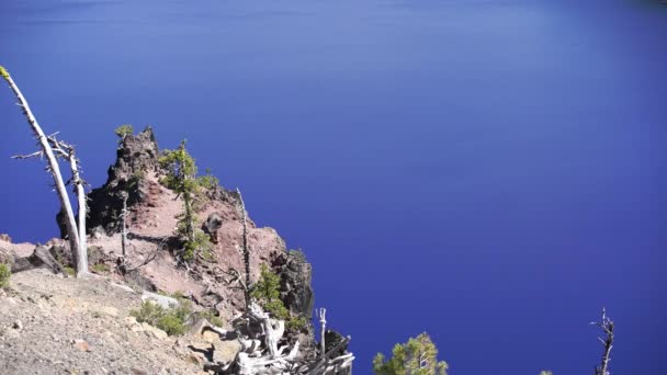 Kráter Jezerní Stromy Rozeklaných Útesech Podél Okraje Oregonu Usa — Stock video