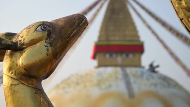 Nepal Boudhanath Stupa Golden Deer Statue Slow Motion Stabilizer Buddhist — Stock Video