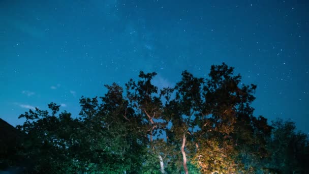 Malibu Milky Way Galaxy Stars Busy Sycamore Campground Santa Monica — Wideo stockowe
