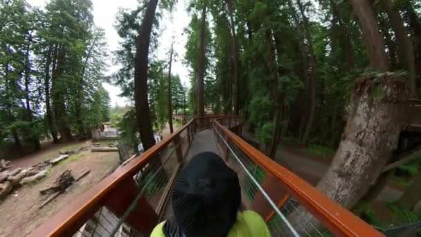 Redwood Forest Wood Bridge Walking Pov Califórnia Eua — Vídeo de Stock