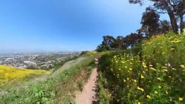 Kenneth Hahn Park Mountain Bike Forest Vista Frontal California Estados — Vídeos de Stock