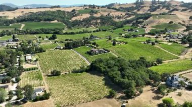 Napa Vadisi Şaraphanesi İleri California ABD 'nin Hava Çekimi