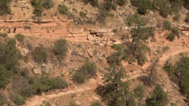 Büyük Kanyon Güney Rim Yürüyüşçüleri Arizona 'daki Parlak Melek Yolu' nda.