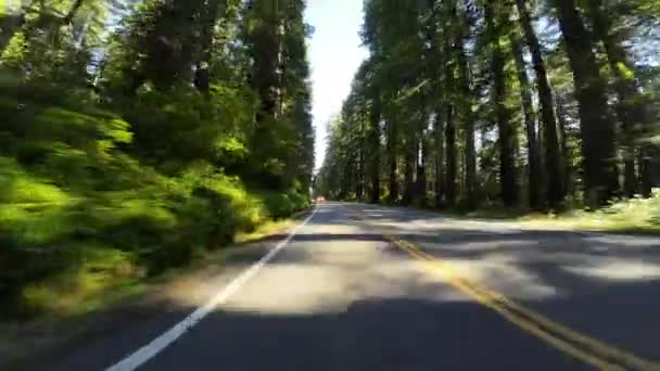 レッドウッド国立公園デルノルテコースト リアビュー 101 ノースバウンドドライビングプレート カリフォルニア アメリカ — ストック動画