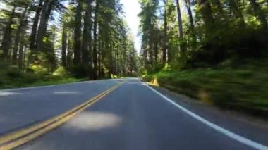 Redwood Ulusal Parkı Del Norte Sahili 05 Front View 101 Kuzey yönünde Kaliforniya plakası