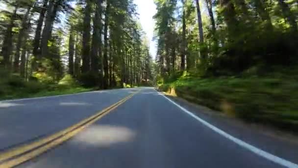 Redwood National Park Del Norte Coast Vista Frontale 101 Northbound — Video Stock