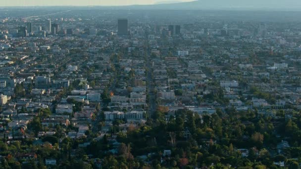 Los Angeles Daytime Time Lapse Alkaen Griffith Park Tilt California — kuvapankkivideo