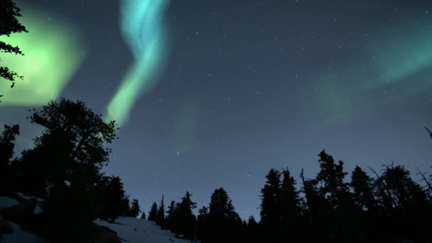 Aurora Vihreä Mänty Mountain Forest Silmukka — kuvapankkivideo