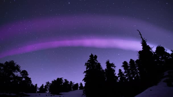 Aurora Arco Púrpura Sobre Bosque Alpino Montaña Lazo Nieve — Vídeos de Stock