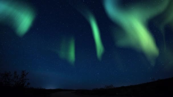 Aurora Borealis Zielona Fioletowa Mleczna Pętla Galaxy — Wideo stockowe