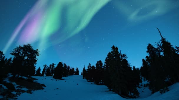 Aurora Verde Roxo Acima Floresta Alpina Coberta Neve Loop — Vídeo de Stock