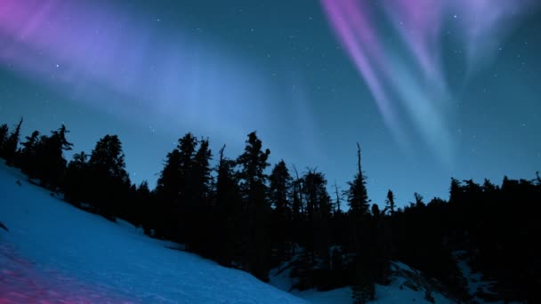 Aurora Über Schneebedecktem Hang Bergwald Schleife — Stockvideo