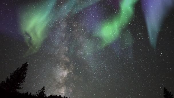 Aurora Aurinkomyrsky Linnunradan Galaxy Aika Raukeaa Alppien Forest Yosemite Kaliforniassa — kuvapankkivideo