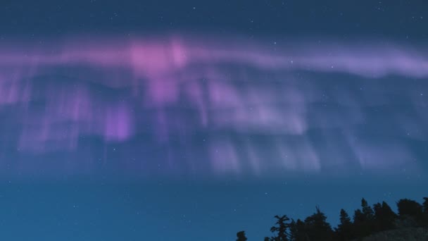 Aurora North Star Polaris Πάνω Από Λάππη Του Δάσους — Αρχείο Βίντεο