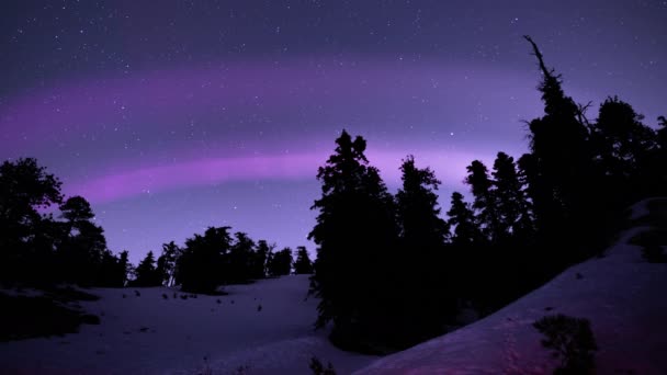 Aurora Gewölbt Lila Über Schnee Alpine Mountain Forest Loop — Stockvideo
