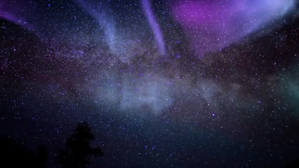 森林倾斜上方的极光紫色银河时间的流逝 — 图库视频影像