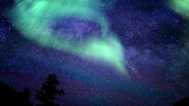 Aurora Borealis Nad Sosną Droga Mleczna Galaxy Time Lapse Symulowane — Wideo stockowe