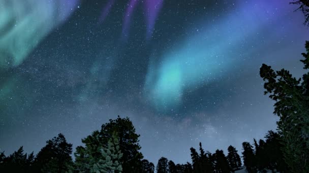 Aurora Linnunrata Alppien Vuoristometsäsilmukan Yläpuolella — kuvapankkivideo