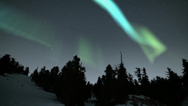 Aurora Verde Sobre Lazo Bosque Alpino Cubierto Nieve — Vídeos de Stock
