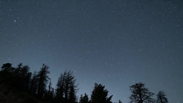 Stele Spinning Jurul Polaris Deasupra Pădurii Alpine 24Mm Northwest Sky — Videoclip de stoc