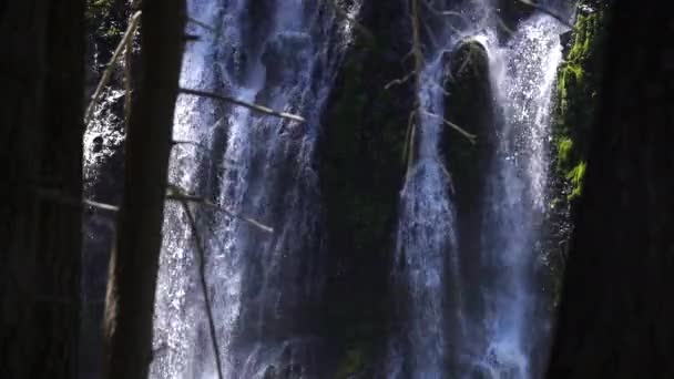 Vista Épica Cachoeiras Burney Falls Shasta Califórnia Eua — Vídeo de Stock