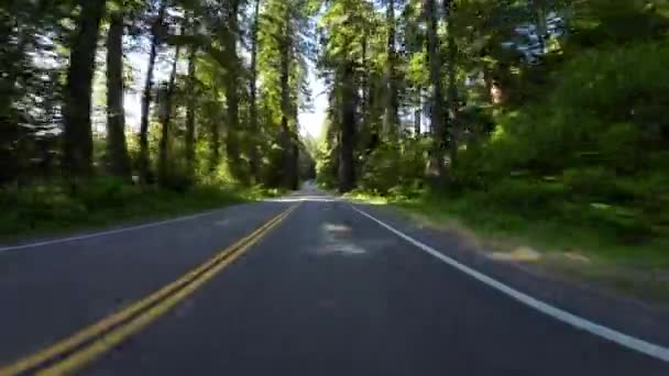 Redwood National Park Del Norte Coast Front View 101 Nordgående – Stock-video