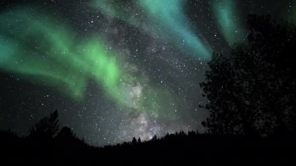 Aurora Borealis Alppimetsän Tilt Linnunradan Galaxy Time Lapse Simuloitu Revontulet kuvapankkivideo