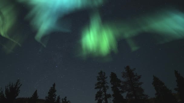 Aurora Borealis Samanyolu Kuzeybatı Gökyüzü Ormanın Üzerinde Zaman Süreleri Benzetimi — Stok video