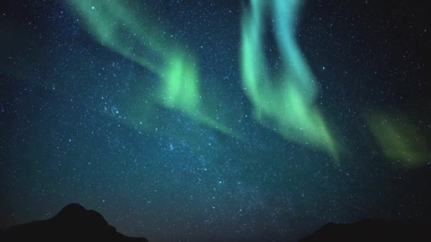 Aurora Spring Sky North Star Polaris Γαλαξίας Way Galaxy Time Royalty Free Βίντεο Αρχείου