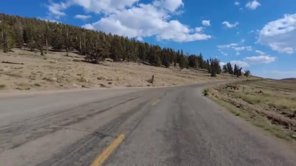 White Mountain Ancient Bristlecone Scenic Byway Westbound Front View Placa Video de stock