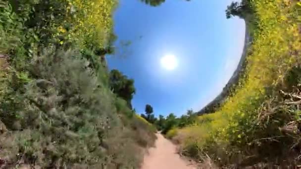 Kenneth Hahn Park Mountainbike Bloemen Pov Fisheye California Usa — Stockvideo