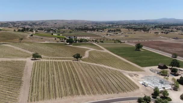 Каліфорнія Вино Країна Paso Robles Виноградник Повітряний Дріб Обертати — стокове відео