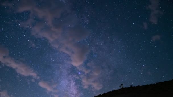 Perseid Meteor Душ Галактика Чумацький Шлях Південне Небо Над Каньйоном — стокове відео