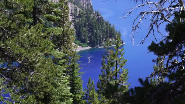 Crater Lake Cleetwood Cove Seen Trail Oregon Usa — Stock video