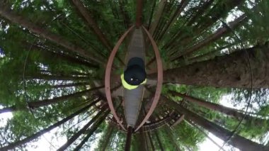 Redwood Ormanı Skywalk Yürüyen POV Küçük Gezegen 01 California ABD
