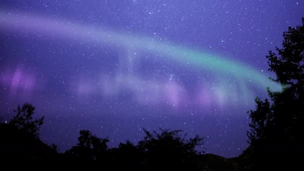 Polarlichter Sternenhimmel Milchstraße Zeitraffer Wald Simulierte Nordlichter — Stockvideo