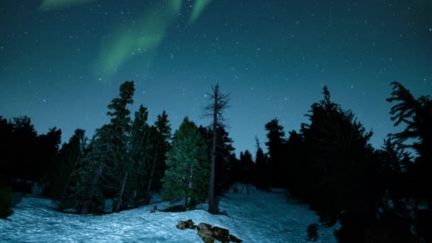 Aurora Green Deasupra Stațiunii Schi Pădurea Alpină Snow Loop — Videoclip de stoc