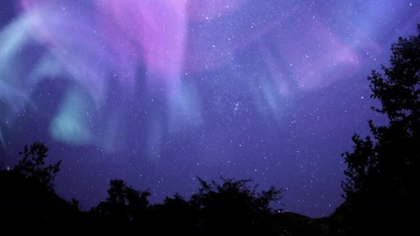 Aurora Verde Púrpura Vía Láctea Time Lapse Forest — Vídeo de stock