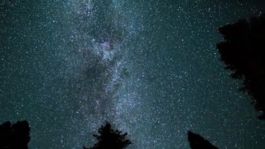 Sequoia Ulusal Parkı Perseid Meteor Yağmuru ve Samanyolu Galaksisi Kuzey Sky Pan L Sierra Nevada Dağları Kaliforniya ABD
