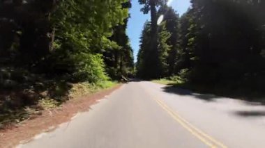 Redwood Ulusal Parkı Olay Yeri Otobanı Northbound 01 Arka Görünüm Güney Girişi Sürücü Plakası