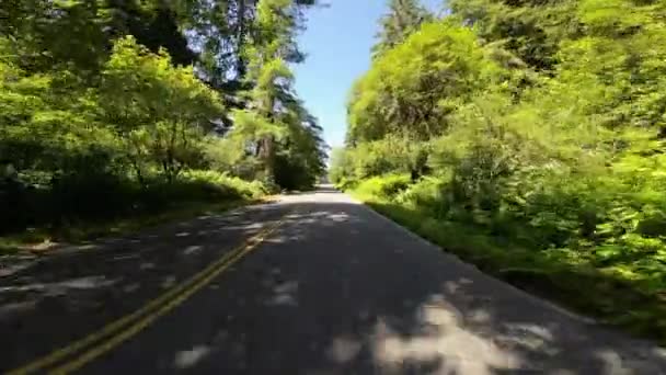 Redwood National Park Scenic Parkway Northbound Frontansicht Eingang Süd Schild Videoclip