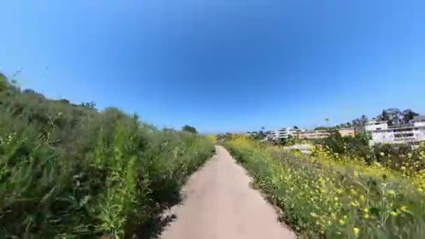 Mountain Bike Trail Pov Front View California Usa — стокове відео