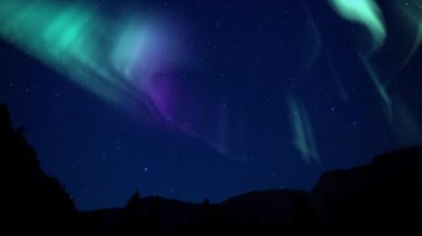 Aurora Yeşil Mor ve Samanyolu Galaksisi Orman Dağı Üzerinde