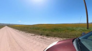 California Super Bloom Vahşi Çiçekler Plakayı Sağdan Sürüşü 01 Carrizo Ovası Ulusal Anıtı ABD