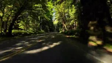Redwood Ulusal Parkı Sahnesi Parkway 03. Sınır Önü Atlas Korusu Sürücü Plakası