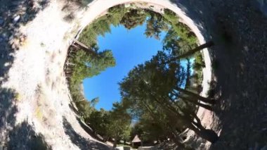 Angeles Ormanı Bisikletli Balık Gözü 360 Derece POV 01 California ABD