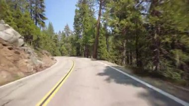 Kings Canyon Manzarası Doğu Bölümü 16 Doğu Yakası Çoklu Kamera Önü Alp Ormanı Sürücü Plakası Sierra Nevada California Dağı ABD