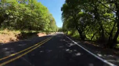 Oregon Rogue Umpqua Sahnesi Byway Altın Tepesi 01 Ön Manzara 234 Doğu yönünde Kuzey Batı yönünde