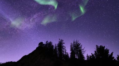 Aurora ve Yıldızlı Gökyüzü Sihirli Dağ Ormanı Döngüsü