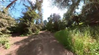 Dağ Bisikleti Franklin Canyon Ormanı POV Front View 01 California ABD